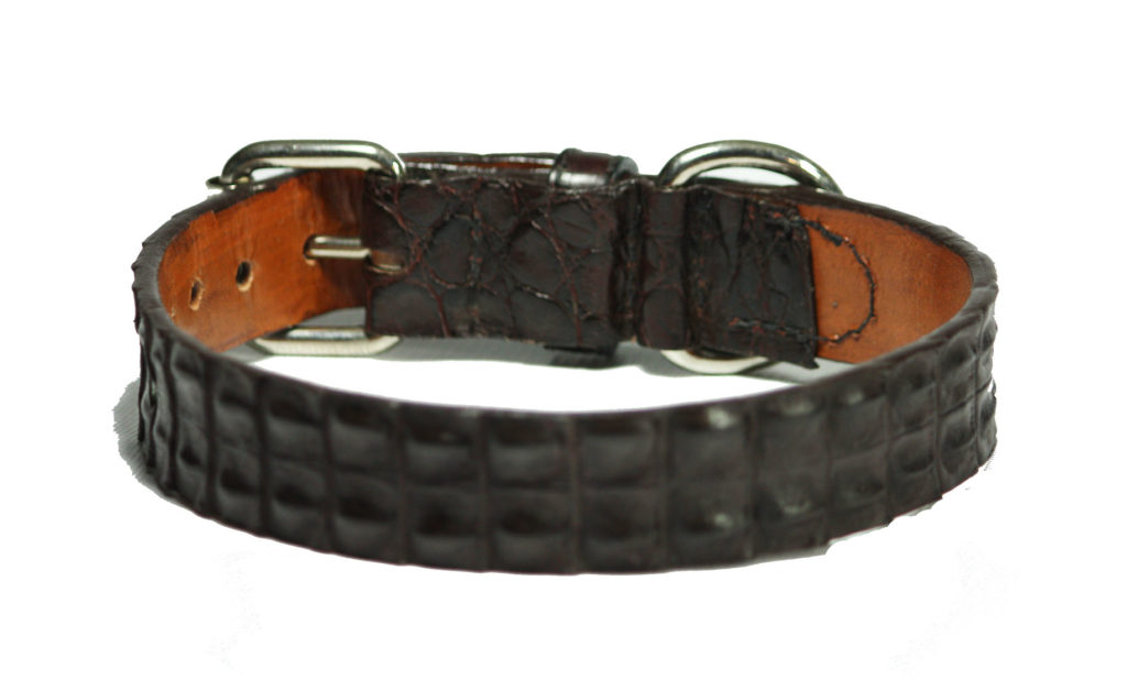 Alligator Dog Collar The Ty Hill Collection